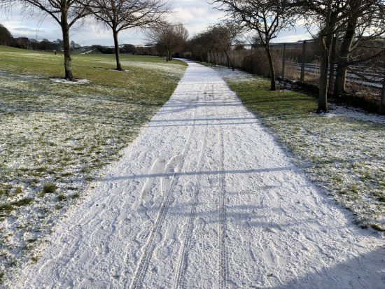 Triple tracks in snow