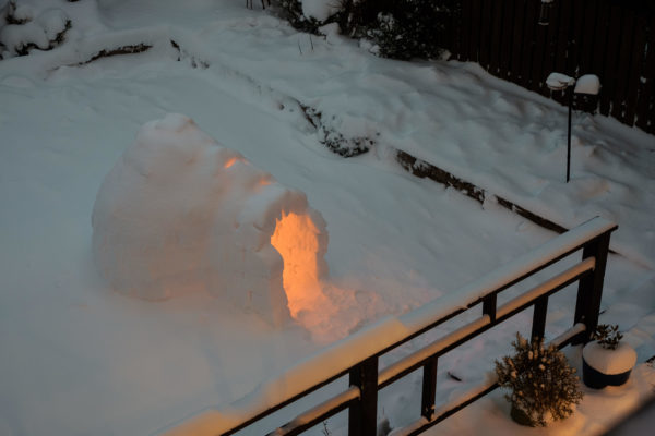 world book day igloo