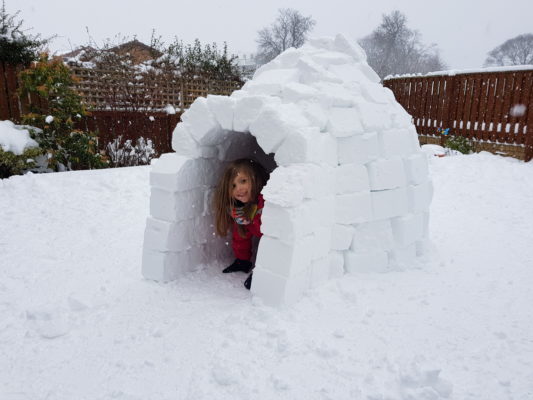 world book day igloo