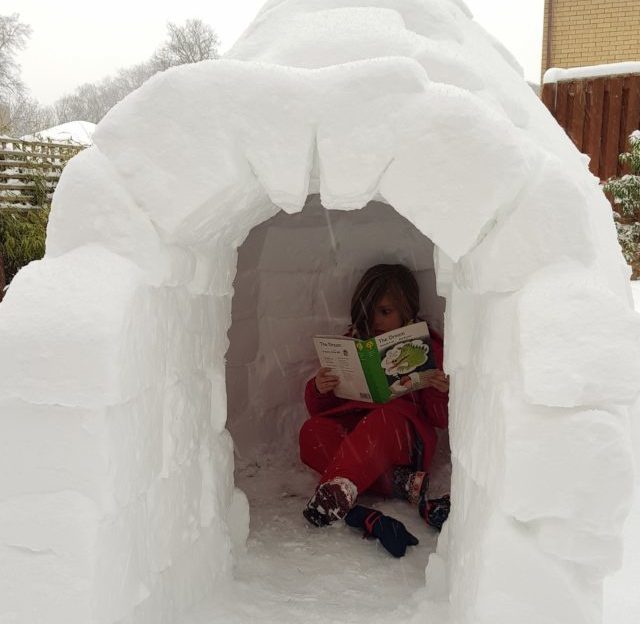 world book day igloo