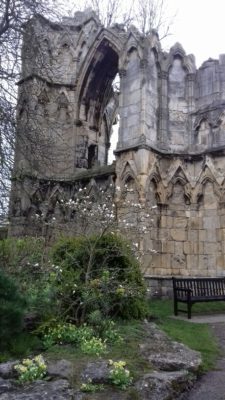 St Mary's Abbey ruins