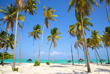 travel insurance
