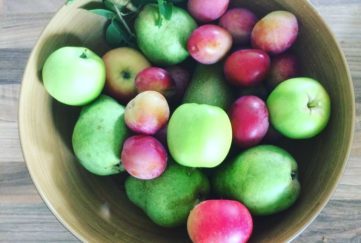 apples from the garden