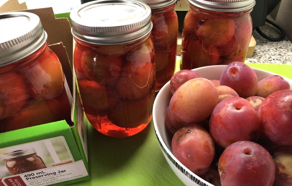 bottled plums