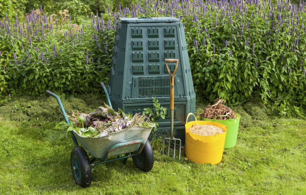 compost heap