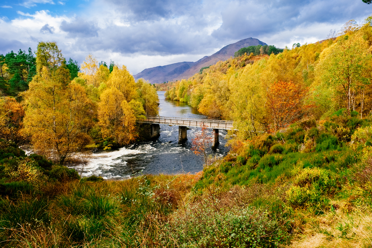 5 Places To See Autumn Colours The People's Friend