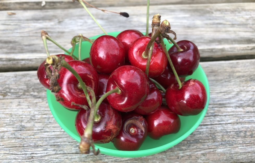 Writing Prompt: Cherries