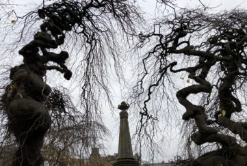 Spooky trees