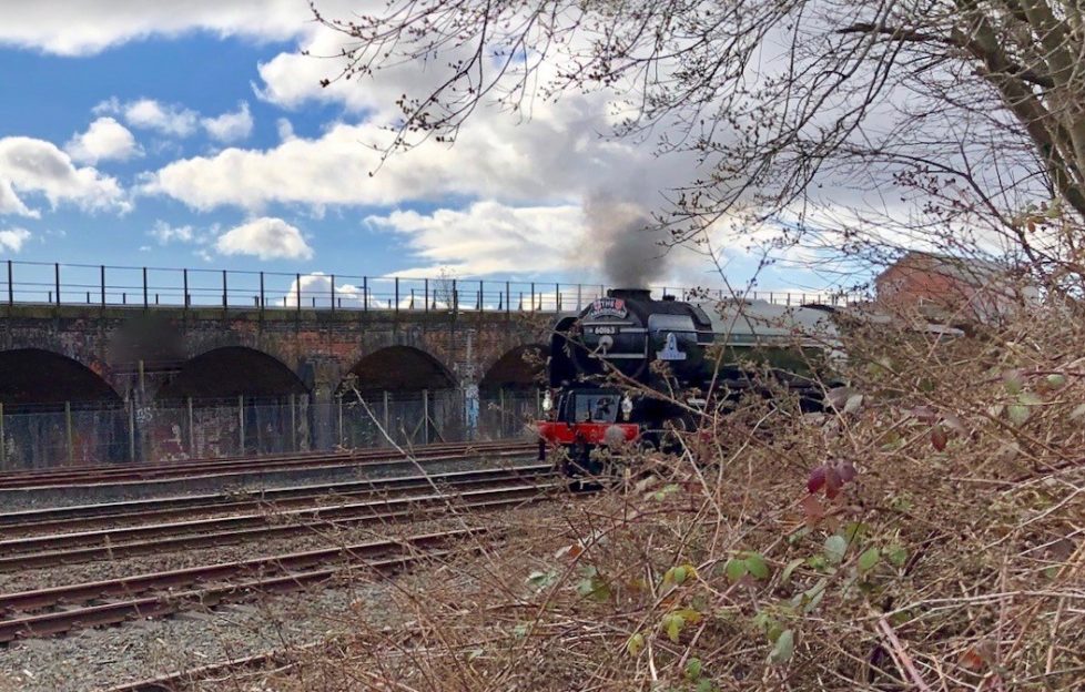 Steam train