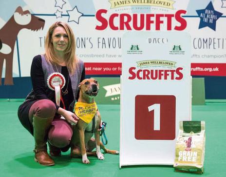 Pets As Therapy: Honey’s A Scruffts Winner