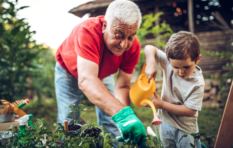 gardening