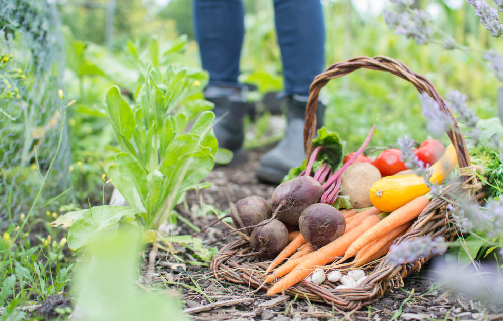 allotments