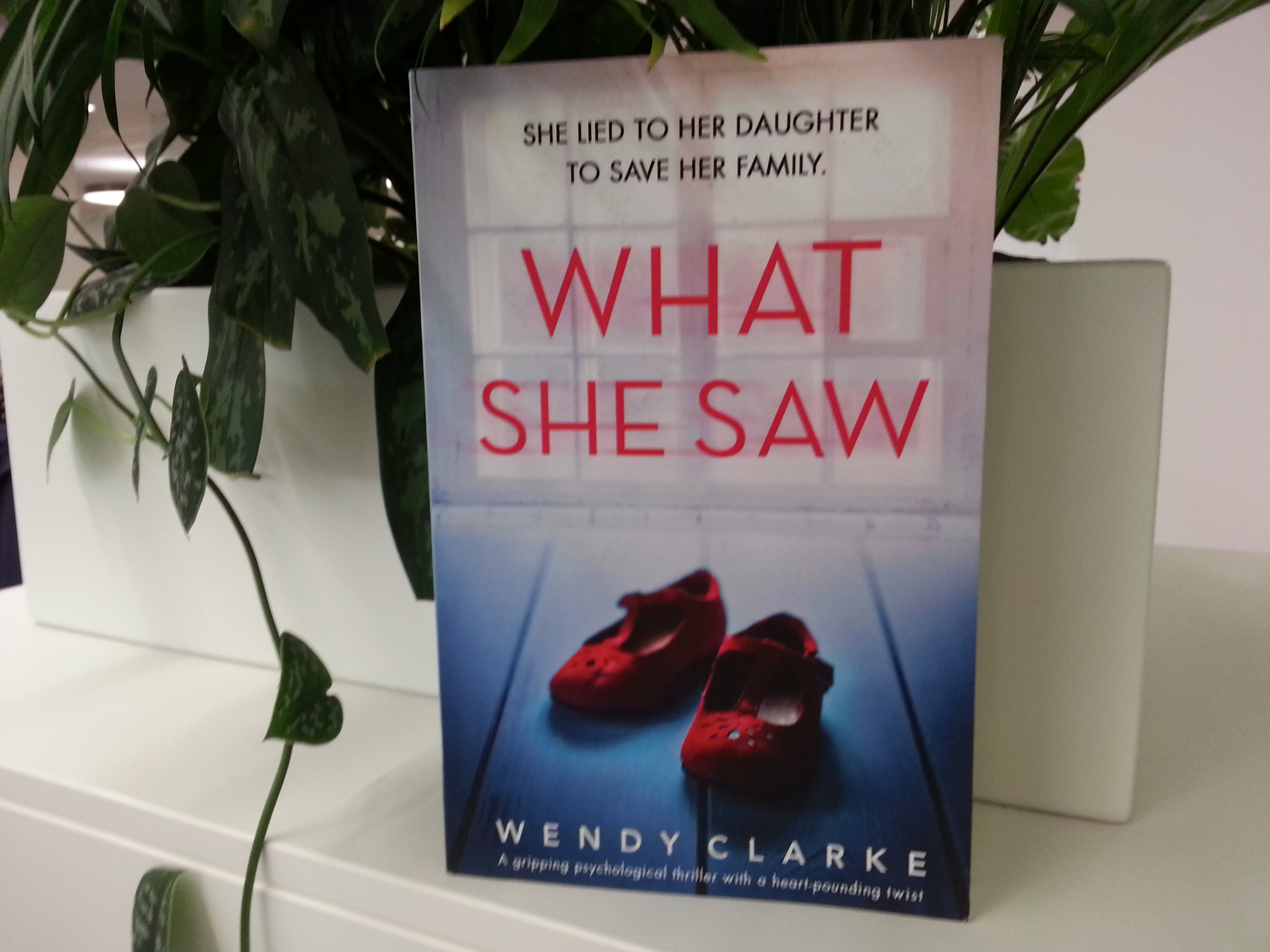 Book Review: “What She Saw” By Wendy Clarke