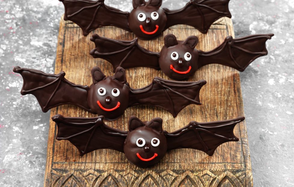 Halloween recipe, chocolate bats on a wooden board