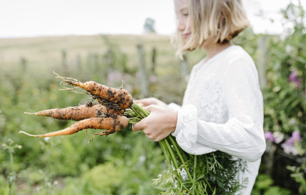 gardening trends