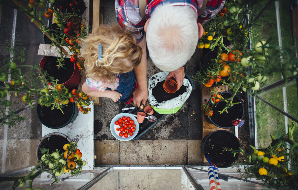 gardening