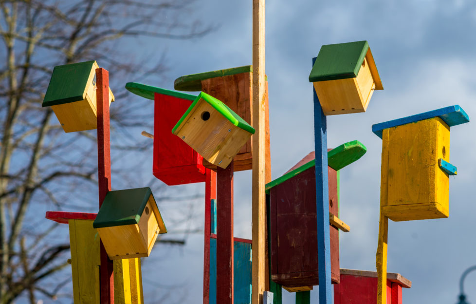 national nestbox week