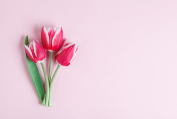 mothers day