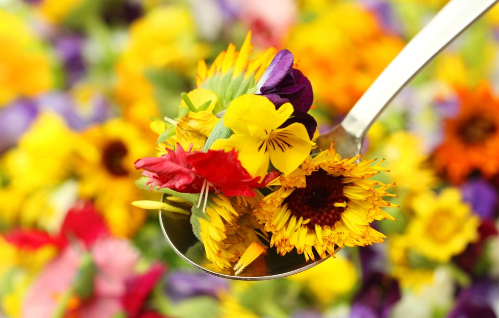 edible flowers