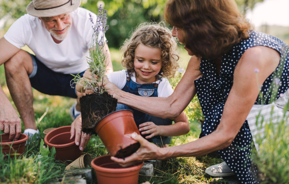 gardening