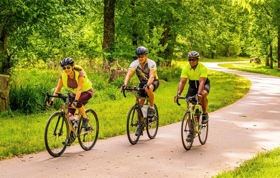 World Bicycle Day