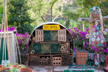 bee hotels