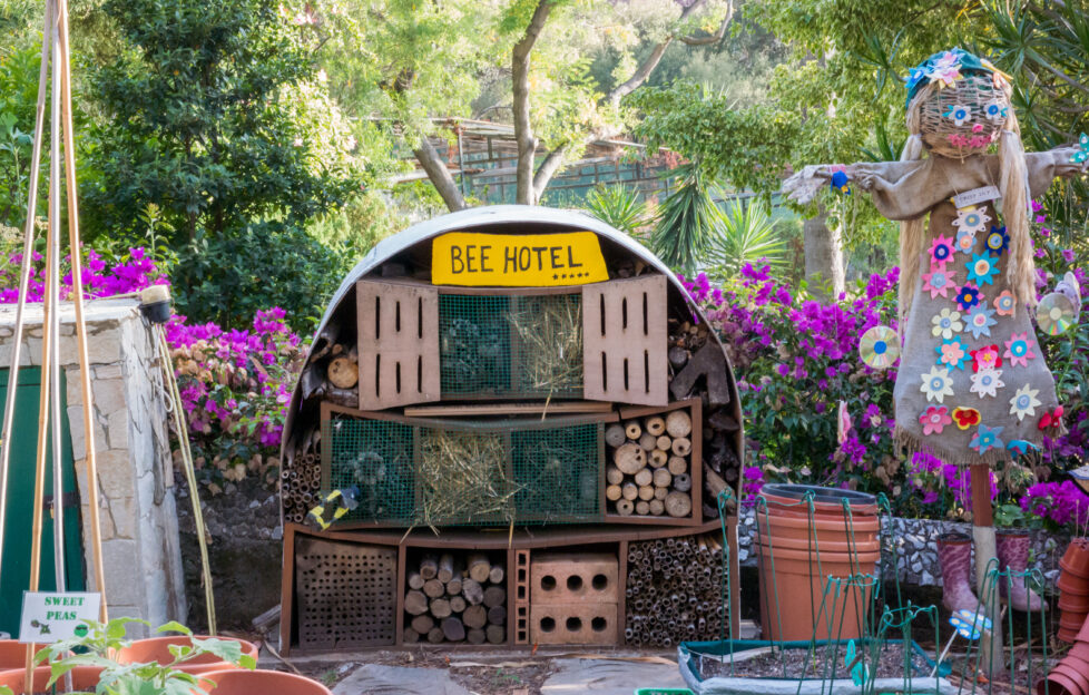 bee hotels