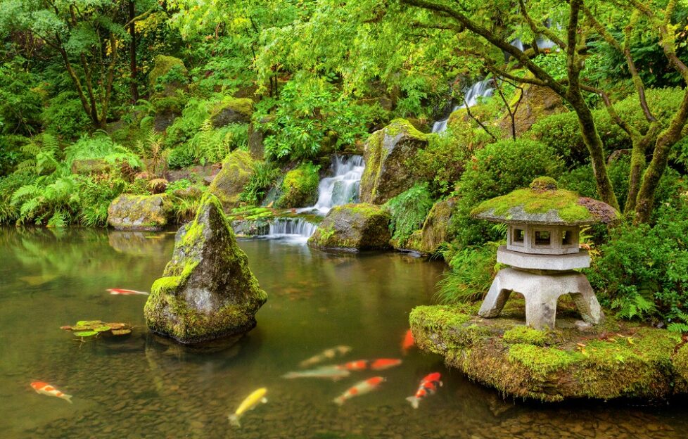 the japanese garden