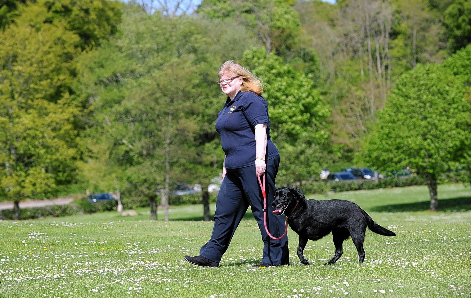 Three-legged dog to take the lead at Aberdeenshire charity event