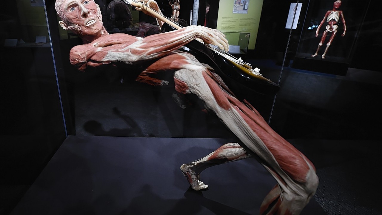 The Body Worlds Vital world-famous exhibition exploring the wonders of the human body, on show in the UK for the first time at the Centre for Life in Newcastle.