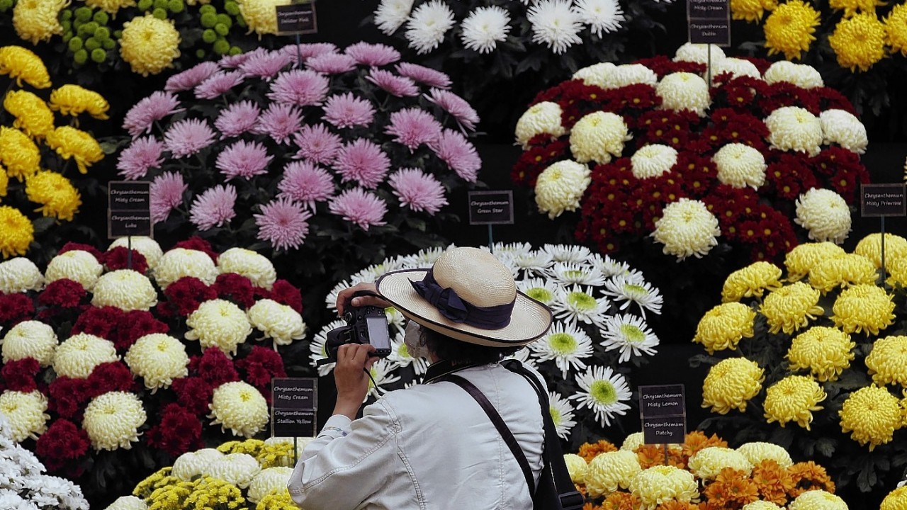 A visitor takes a photograph of flowers at the Chelsea Flower Show