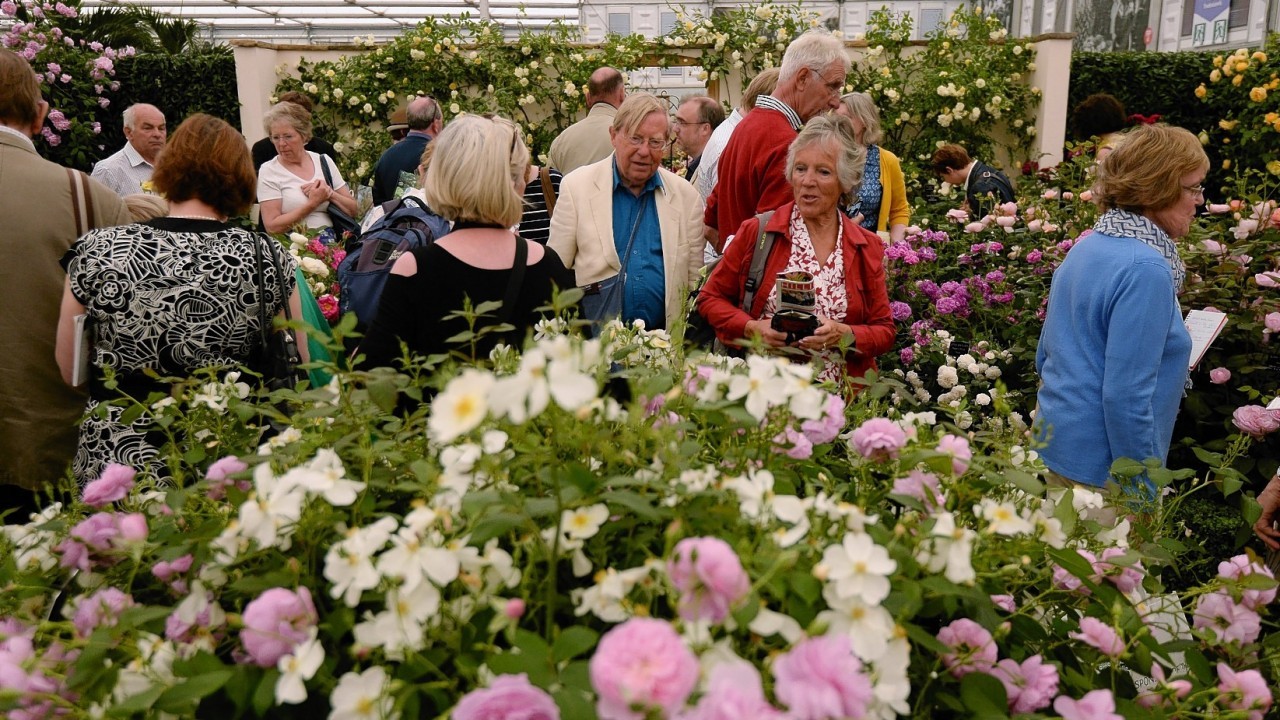 People walk around the David Austin Rose Garden at the RHS Chelsea Flower Show, at the Royal Hospital in Chelsea