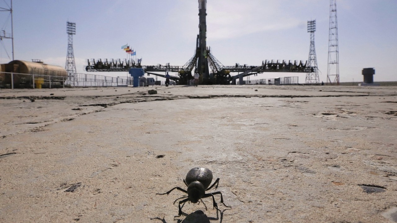 A bug crosses the the launch pad as a Russia's Soyuz-FG booster rocket with the space capsule Soyuz TMA-13M, that will carry new crew to the International Space Station (ISS), is being fixed after it was pulled out from a hangar at the Russian leased Baikonur Cosmodrome, Kazakhstan
