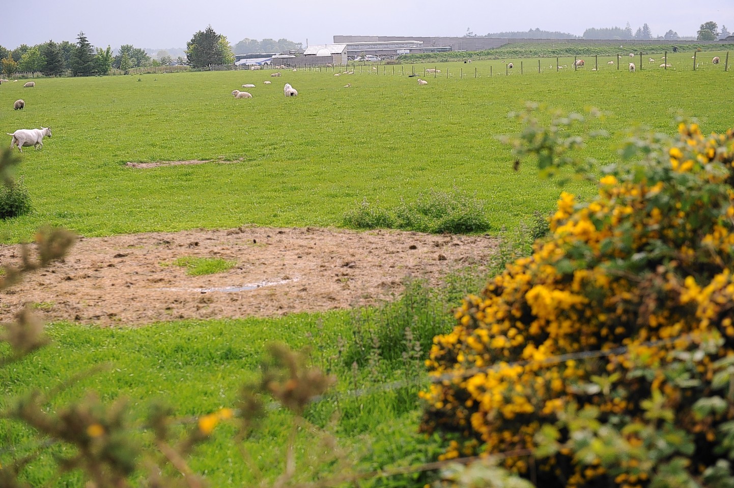 The site of the proposed development at Leanach