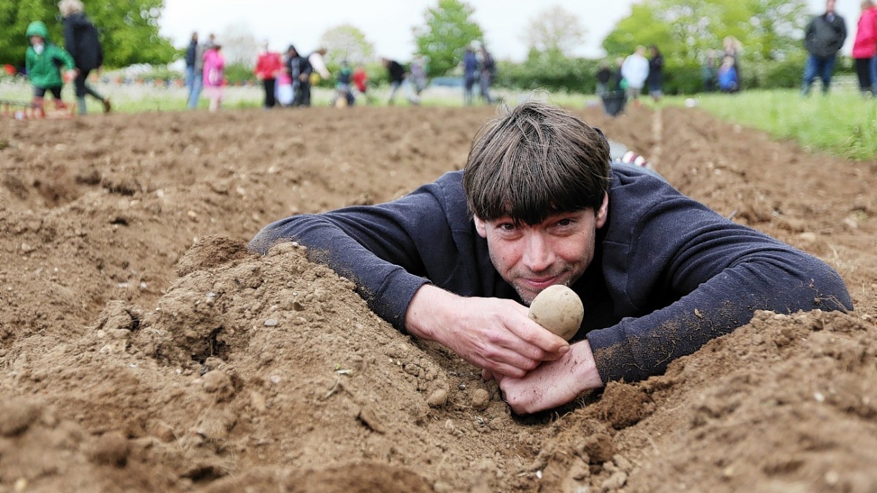 Alex James is helped planting potatoes by children from Kingham and Bledington Primary Schools at his farm near Kingham, Oxfordshire.