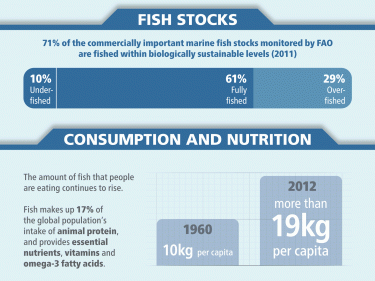 Fisheries infographic