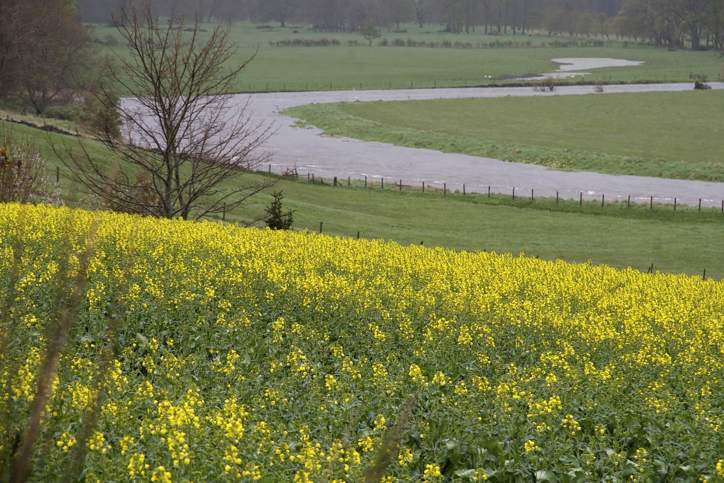 The River Deveron