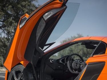 2014 McLaren 650S Spider door