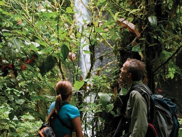 In the jungle near the Mashpi Lodge, Ecuador