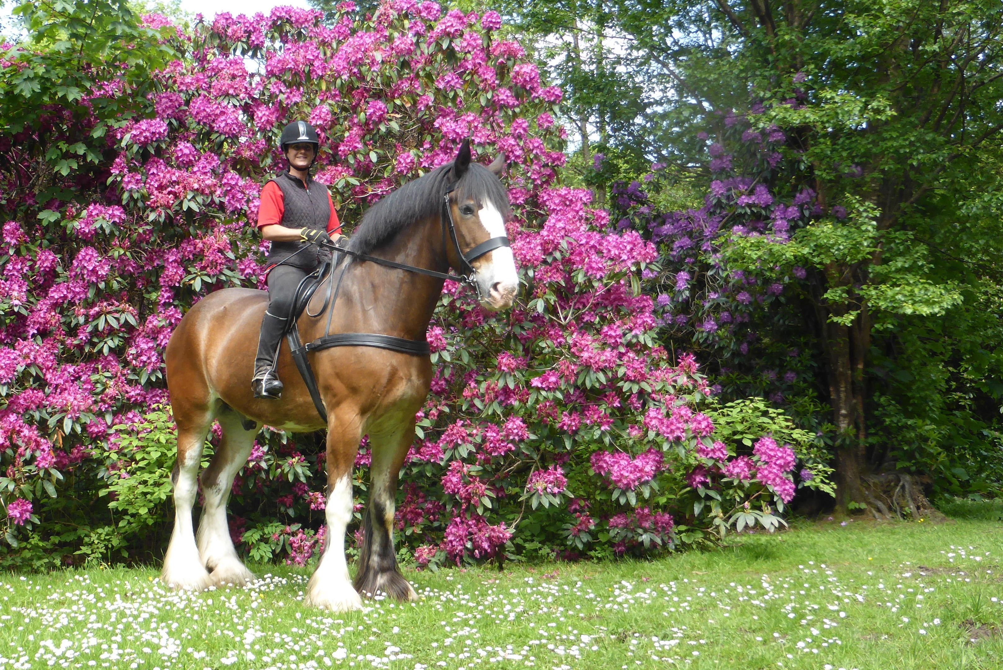 Baron with Lorraine Clark