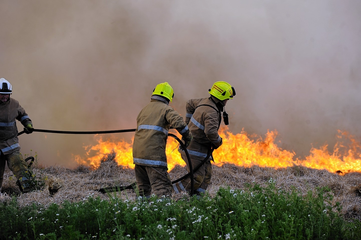 Grass fire