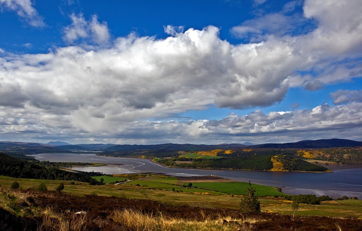 The Dornoch Firth by Bob McGowan