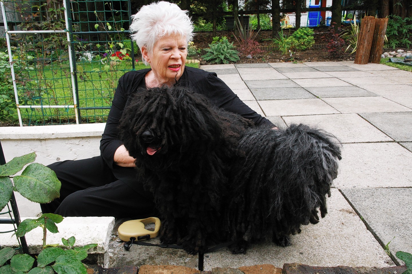 Frieda Alexander Glencoe with her Puli dogs. also playing in the garden
one of five pictures