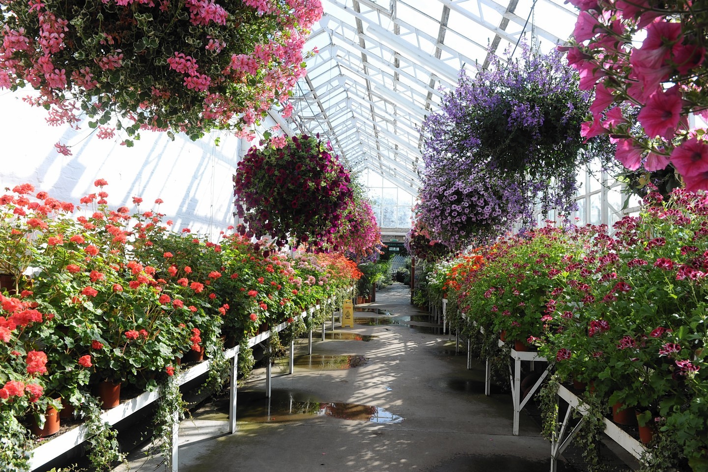 Winter Gardens in Duthie Park