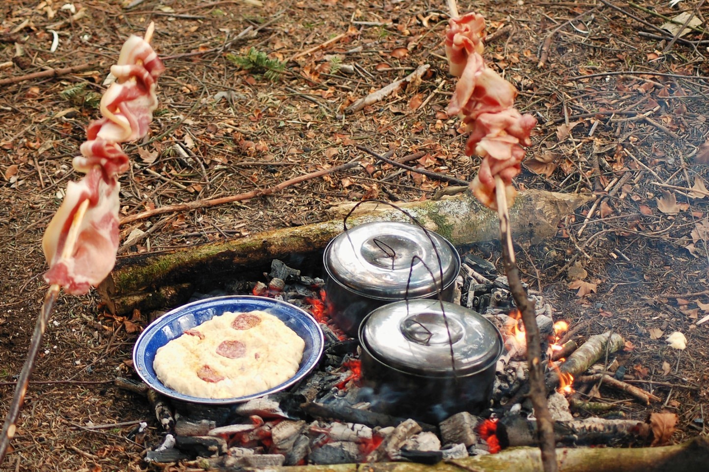 Haddo Country Park Bushcraft