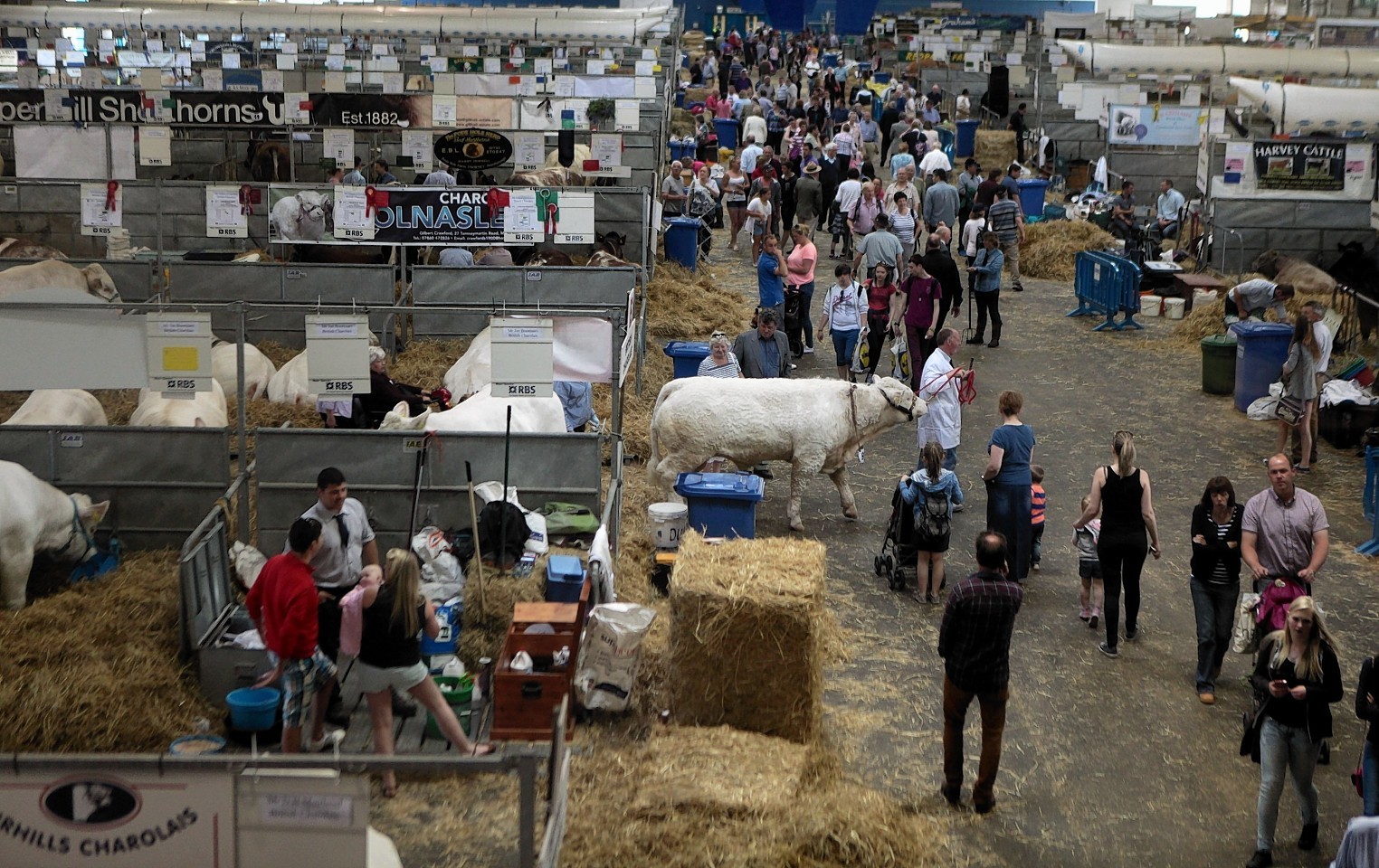 This year's Royal Highland Show