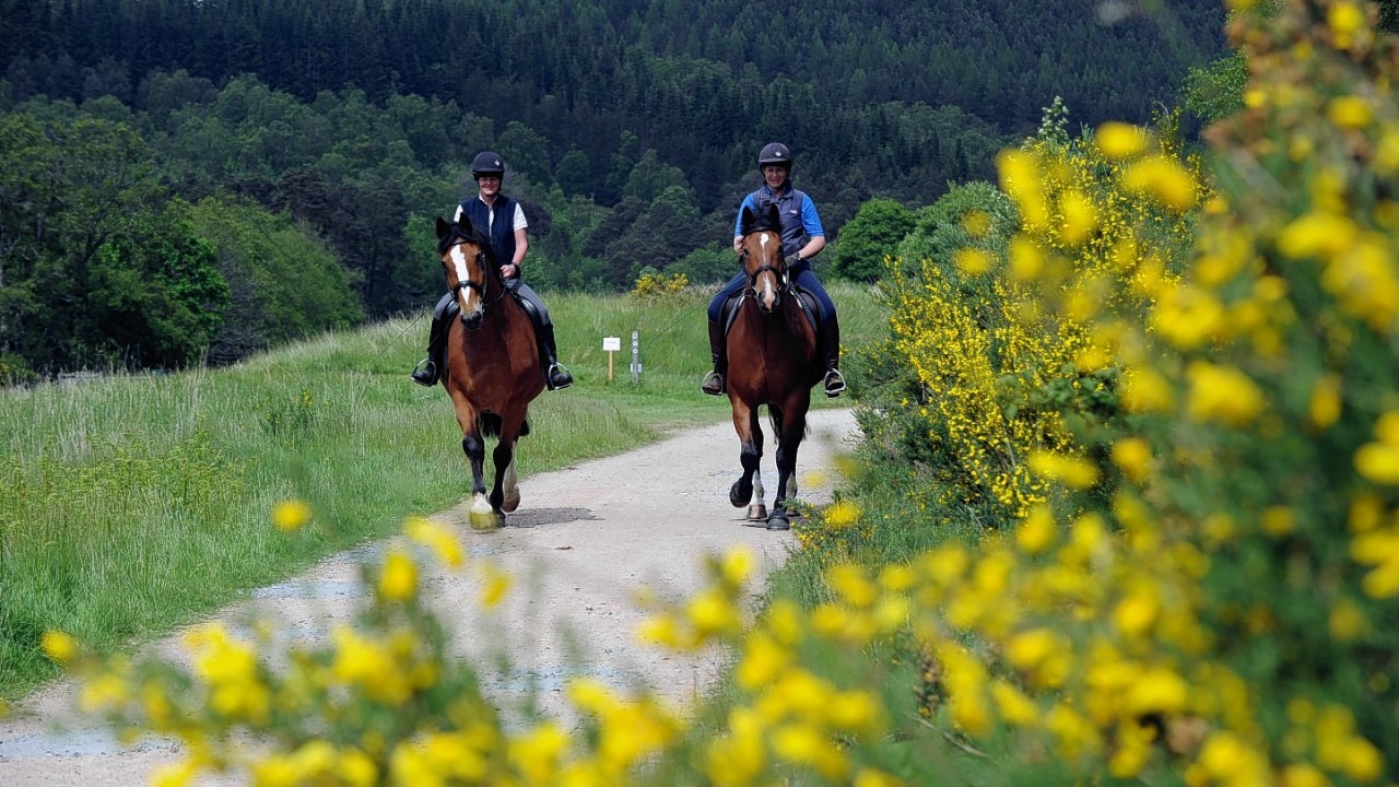 Aberdeen Brooke Supporters group held a Horseman's Sunday fundraising ride and walk around the Glen Tanar estate