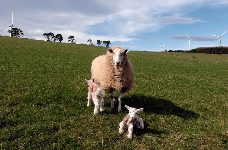 NFU Scotland has called for Governments to drive the food and farming sector forward