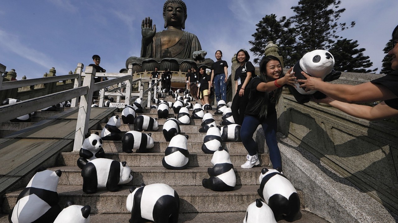 Part of the 1,600 paper pandas, created by French artist Paulo Grangeon, are displayed in front of the Tian Tan Buddha, a large bronze statue of a Buddha on Lantau Island, a popular tourist spot during the month-long "1600 Pandas World Tour" in Hong Kong