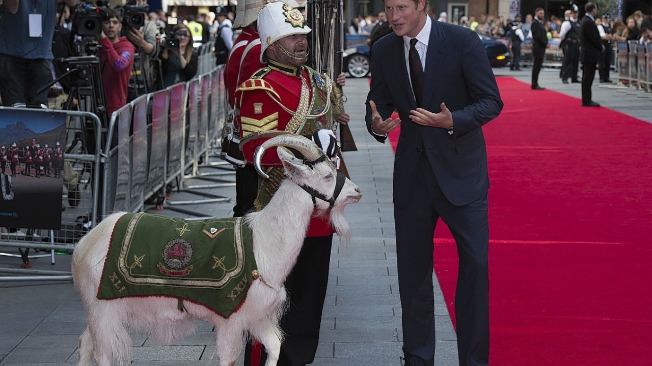 Prince Harry meets Sgt Jacko Jackson, Goat Major, with Shenkin, the regimental mascot of the 3rd Battalion, as he attends the 50th anniversary screening of Zulu at the Odeon in Leicester Square
